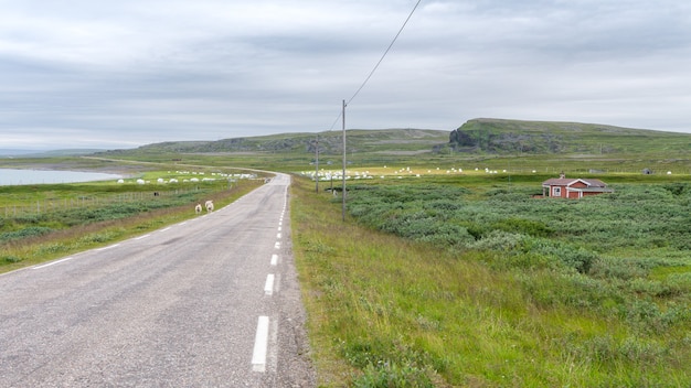 Straße am Meer entlang auf dem Land