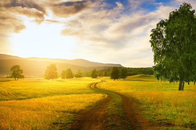 Straße auf dem Land bei Sonnenuntergang. Felder mit grünem Gras, Wald und Bergen. Schöne Sommerlandschaft. Baschkortostan, Südural, Russland