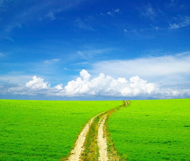 Straße auf einem schönen sonnigen Feld unter dem blauen Himmel