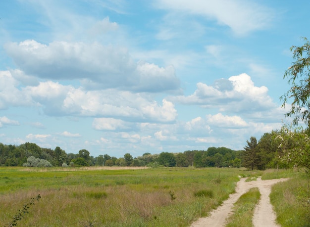 Straße auf einer Wiese und blauem bewölktem Himmel