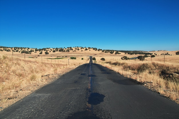 Straße auf Feldern von Kalifornien, USA