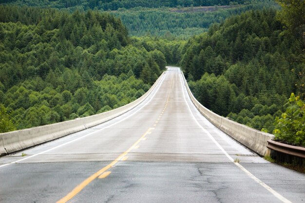 Foto straße, die durch den wald führt