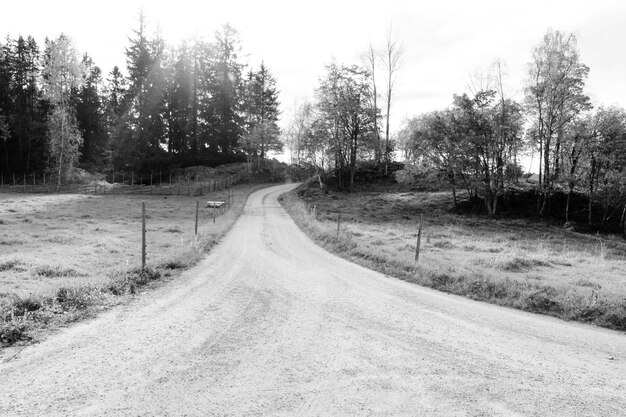 Foto straße, die durch die landschaft führt