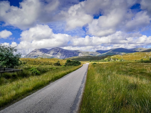 Straße, die durch ein Feld gegen einen bewölkten Himmel führt