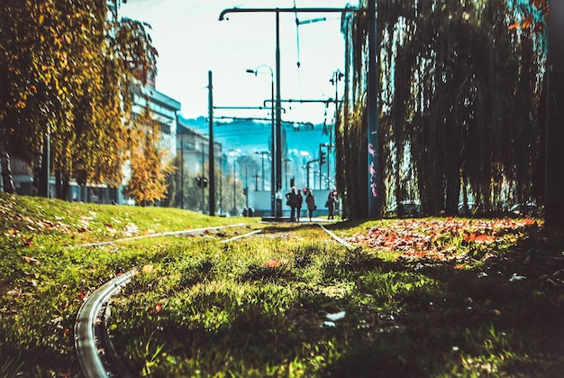 Foto straße durch bäume in der stadt gegen den himmel