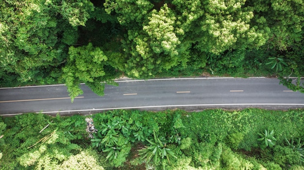 Foto straße durch bäume in der stadt