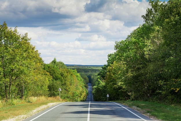 Straße durch den Wald