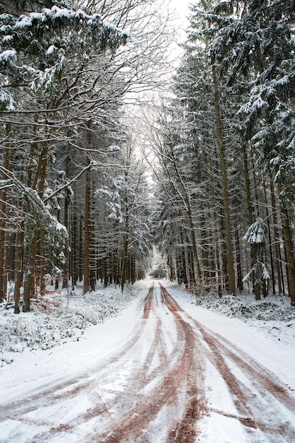 Straße durch einen schneebedeckten Wald, rutschige und frostige Straße im Winter, leere Autobahn bei Kälte