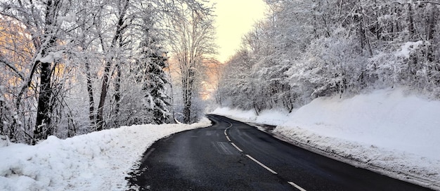 Straße durch einen Wald mit frostbedeckten Bäumen im alpinen Berg