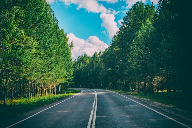 Straße durch grünen tiefen Wald in Russland. Um grüne Kiefern und blauen Himmel, sonnige Tage und Herbstzeiten