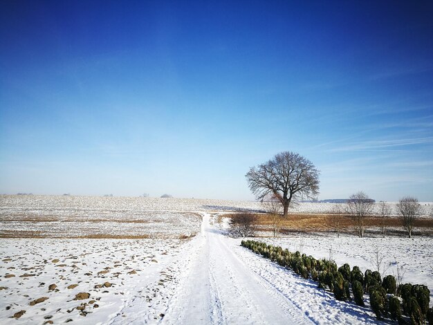 Straße durch schneebedeckte Landschaft vor blauem Himmel