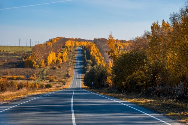 Straße durch schönen farbigen Herbstwald und -felder