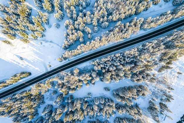 Straße durch verschneiten Winterwald