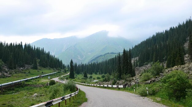 Straße im Bergtal