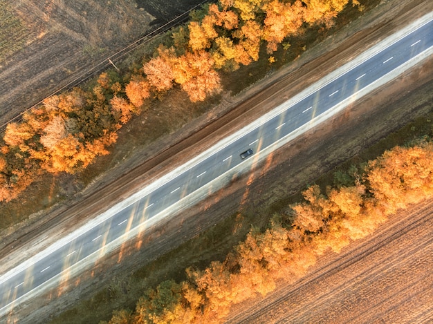 Straße im Herbst