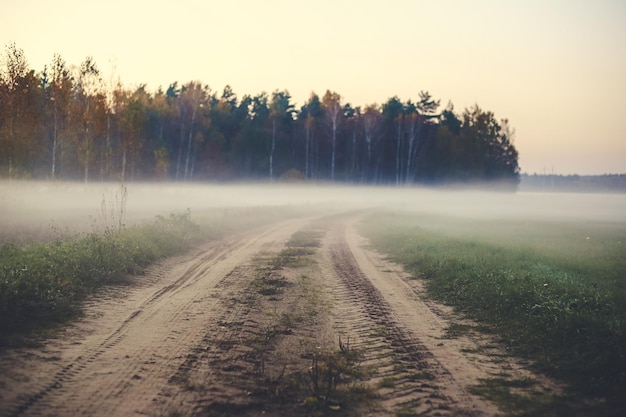 Straße im Nebel in den Wald in der Nähe des Feldes bei Sonnenuntergang im Herbst