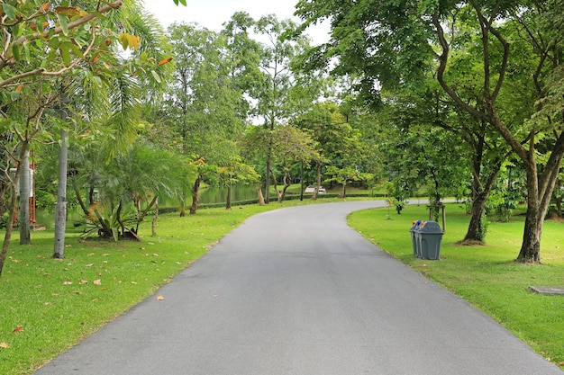 Straße im Park mit Baum herum. Friedlicher grüner Park und Weg zum Sport und zum Entspannen.