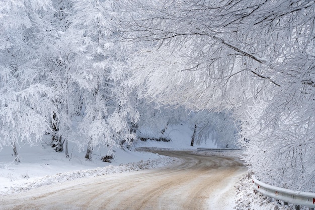 Straße im Sabaduri-Wald mit bedecktem Schnee. Winterzeit. Landschaft. Georgia