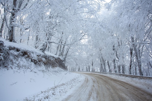 Straße im Sabaduri-Wald mit bedecktem Schnee. Winterzeit. Landschaft. Georgia