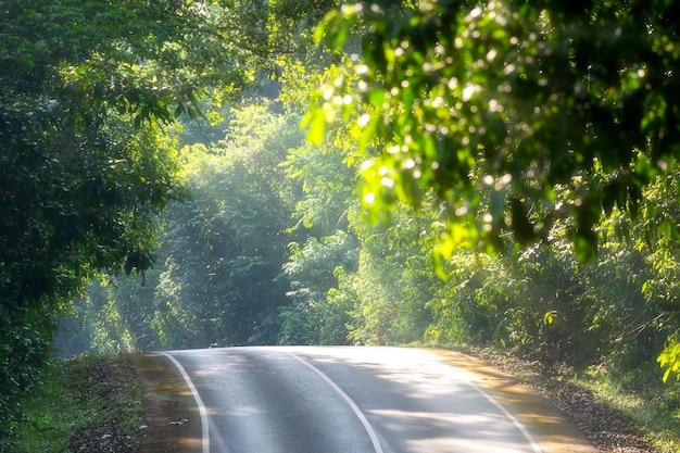 Straße im Wald und der Berg aus einem hohen Winkel