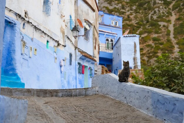 Straße in Chefchaouen Marokko