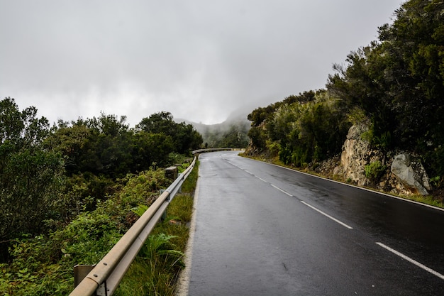 Straße in den Bergen nach Regen. leichter Nebel in den Bergen.