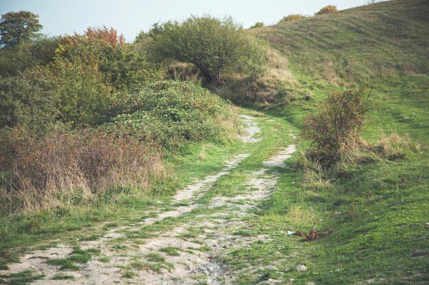 Straße in der grünen Wiese