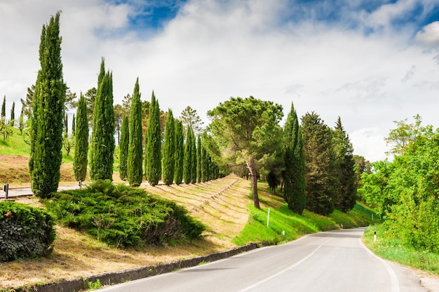 Straße in der Landschaft in der Toskana, Italien. Schöne Sommerlandschaft