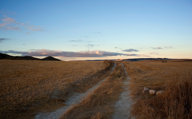 Straße in der spanischen Landschaft