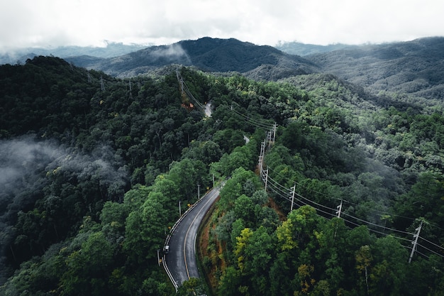 Straße in der Waldregenzeit Naturbäume und Nebelreisen