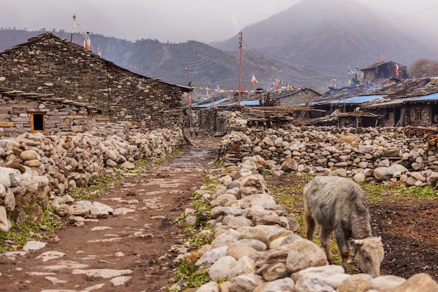 Straße in einem Bergdorf in Manaslu