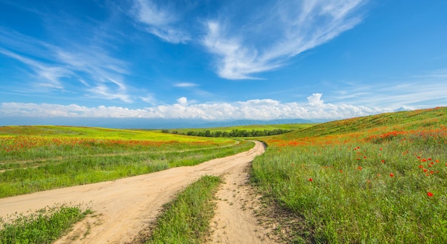 Straße in einer grünen Wiese und blauer Himmel mit weißen Wolken