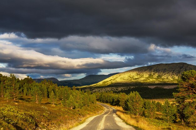 Straße in Norwegen