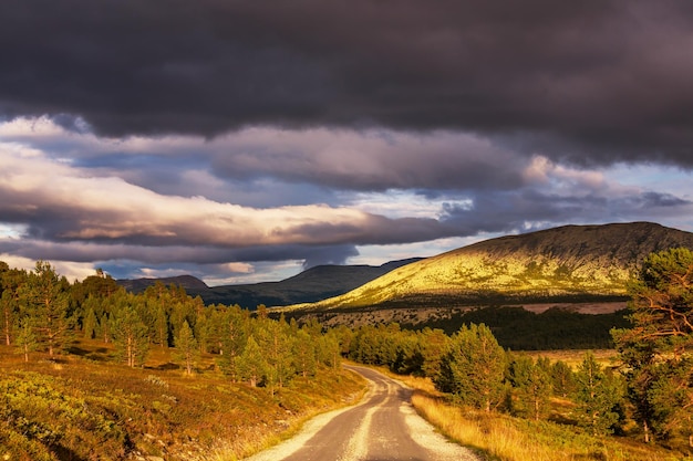 Straße in Norwegen