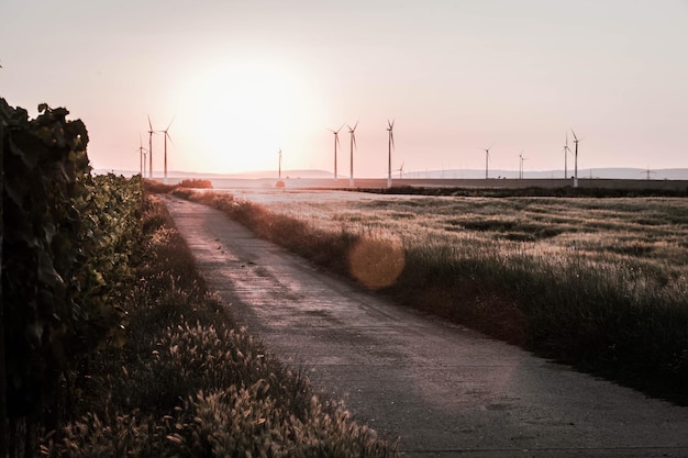 Straße inmitten des Feldes gegen den Himmel bei Sonnenuntergang