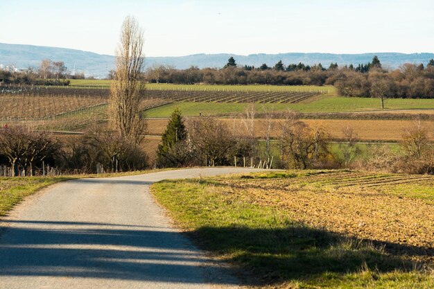 Foto straße inmitten des feldes gegen den himmel