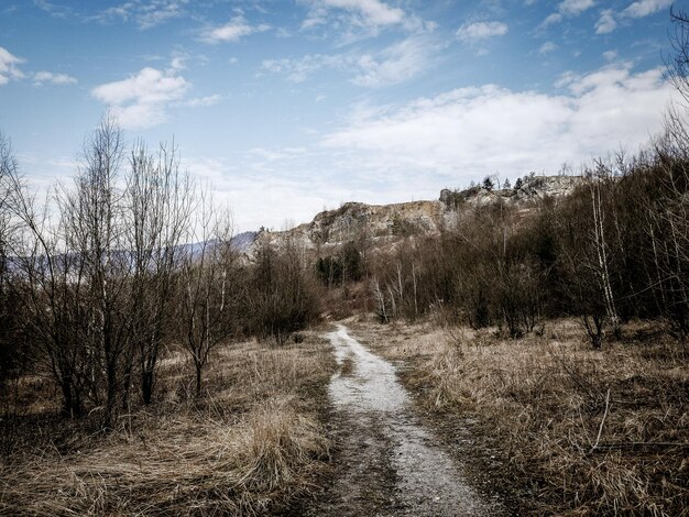 Foto straße inmitten nackter bäume gegen den himmel