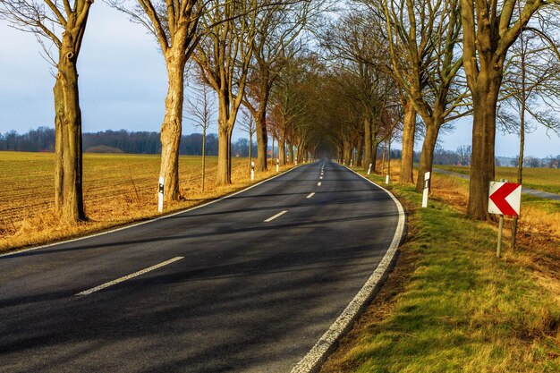 Straße inmitten nackter Bäume gegen den Himmel