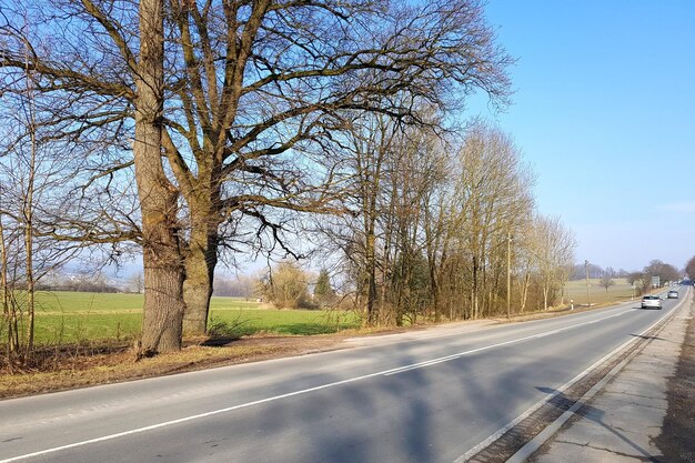 Straße inmitten nackter Bäume gegen klaren Himmel