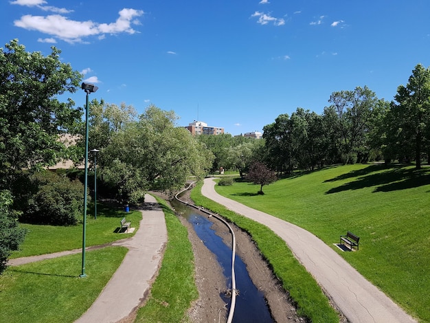 Foto straße inmitten von bäumen auf dem feld gegen den himmel