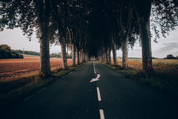 Foto straße inmitten von bäumen gegen den himmel