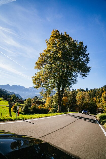 Foto straße inmitten von bäumen gegen den himmel