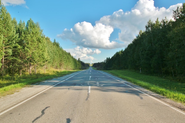 Straße inmitten von Bäumen gegen den Himmel