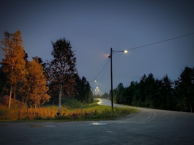 Straße inmitten von Bäumen gegen klaren Himmel im Herbst