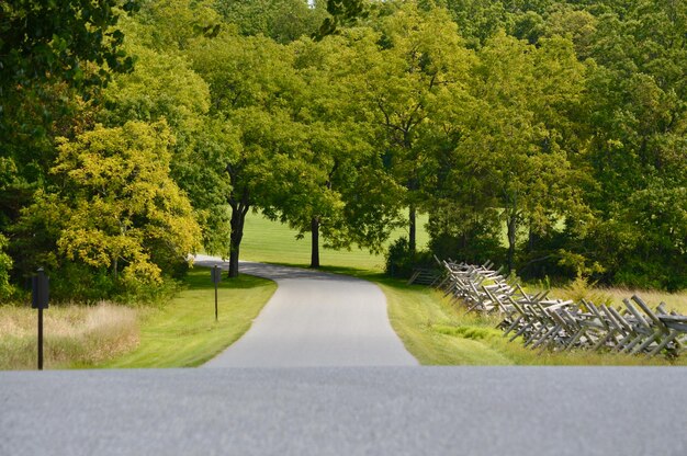 Foto straße inmitten von bäumen im park