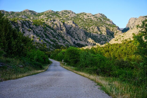 Foto straße inmitten von bäumen und bergen gegen den himmel