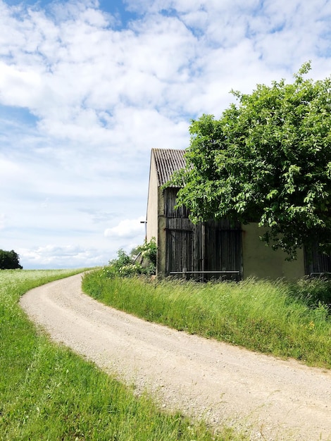 Foto straße inmitten von bäumen und häusern gegen den himmel