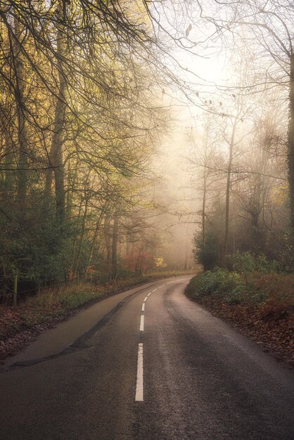 Foto straße inmitten von bäumen