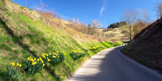 Foto straße inmitten von pflanzen auf dem feld gegen den himmel