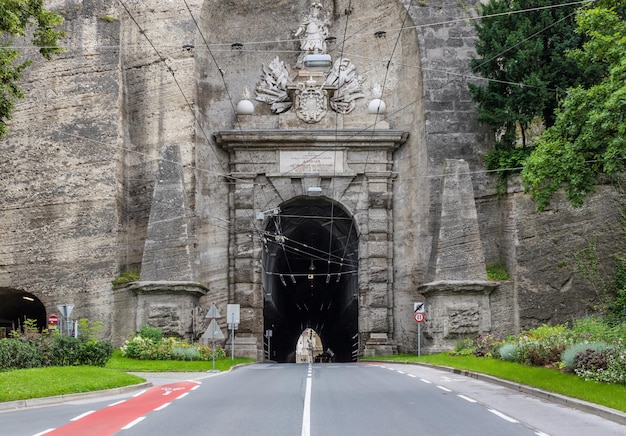 Straße inmitten von Pflanzen in der Stadt